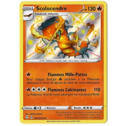 Scolocendre - SV019/SV122 -...