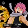 Figurine Tsume - Fairy Tail - Natsu Dragneel IKIGAI 1/6 (Numeroté 0604)