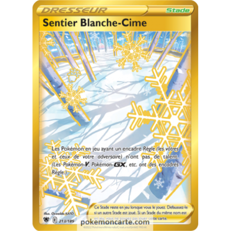 Carte Pokémon - Astres Radieux - Sentier Blanche-Cime 213/189 (Etat:NM)