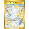Carte Pokémon - Astres Radieux - Sentier Blanche-Cime 213/189 (Etat:NM)