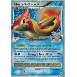 Carte Pokémon - Rivaux...