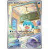 Carte Pokémon - Coiffeton 206/193 (État : NM)