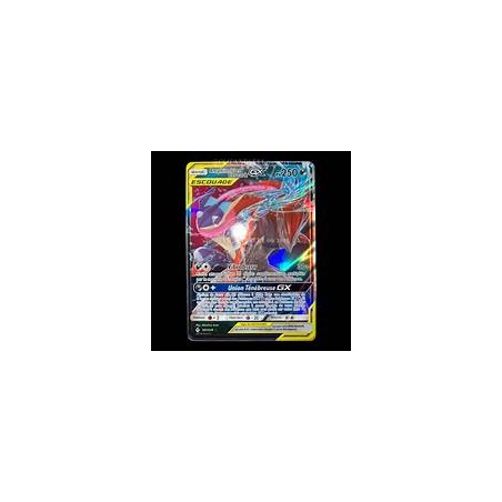 Carte Pokémon - Alliance Infaillible- Amphinobi & Zoroark GX 107/214 (État : LP) FR