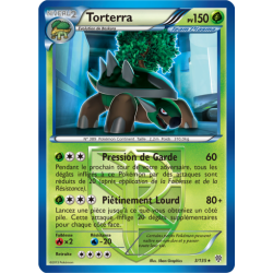 carte pokemon Torterra...