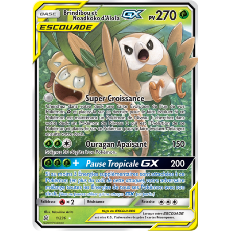 Carte Pokémon Brindibou & Noadkoko d’Alola GX 1/236 Holo – SL11 Soleil & Lune FR