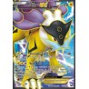 Carte Pokemon NB Explorateurs obscurs Raikou EX Full Art 105/108