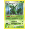 Carte Pokémon Jungko 10/100 Diamant et Perle Tempête