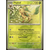 Carte Pokémon – Phyllali 005/131 – Pokéball – Évolutions Prismatiques (État : NM, EV8.5) – FR