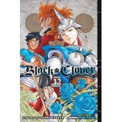 Black Clover, Vol. 12