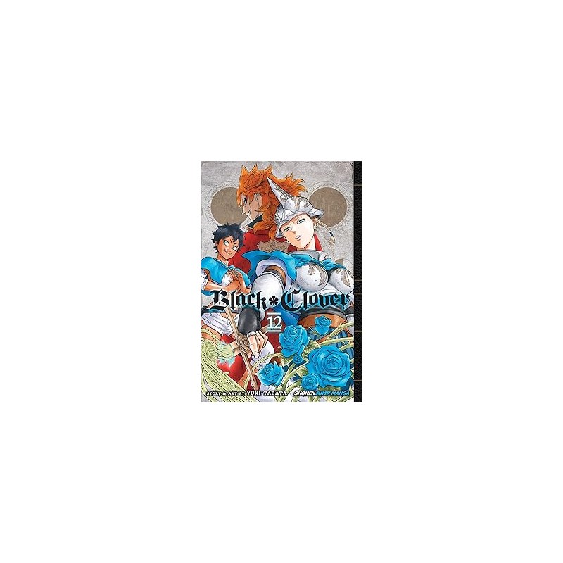 Black Clover, Vol. 12
