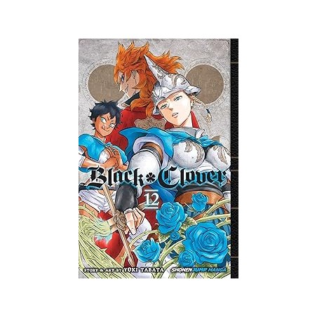 Black Clover, Vol. 12