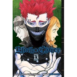 Black Clover, Vol. 13