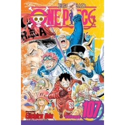 one piece 107