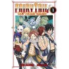 Fairy Tail - 100 Years Quest T01