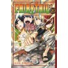Fairy Tail T29