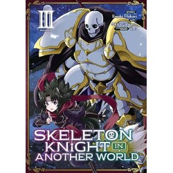 Skeleton Knight in Another...
