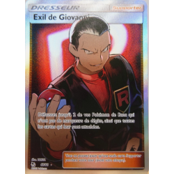 Carte Pokemon - Exil de...