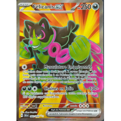 Carte Pokemon - Félicanis...