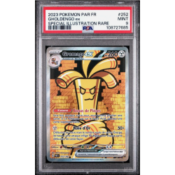 Carte Pokémon Gradée –...