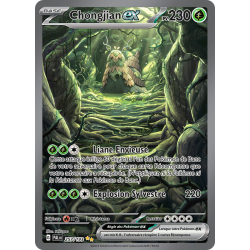 Carte Pokémon – Chongjian...