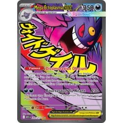 Carte Pokémon -Mega...