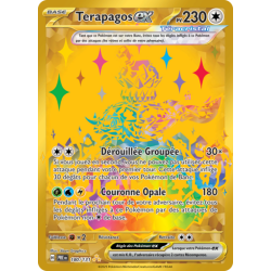 Cartes Pokemon Terapagos Ex...