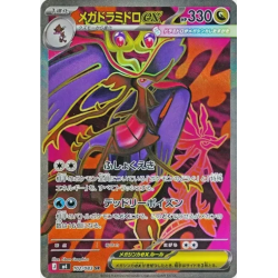 Carte Pokémon Mega...