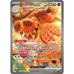 Carte Pokémon - Briochien...