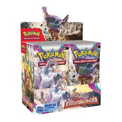Display Pokémon Évolutions...